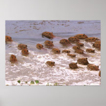 South America, Venezuela, Llano region. Posters