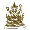 SOUTH ASIAN HINDU GOD ANGEL GANESH t-shirts