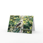 South Australian wld birds Greeting Cards