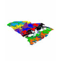 South Carolina Customisable Colourful shirt