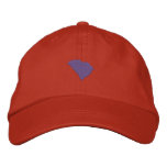 South Carolina embroidered hats
