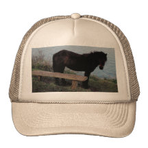 South Devon Dartmoor Pony Near Bench.3. Trucker Hat