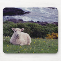 South Devon Lamb Resting On Wild Remote Coastline Mousemat