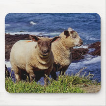 South Devon Two Lambs On Cliff Edge On Coastpath Mouse Mat