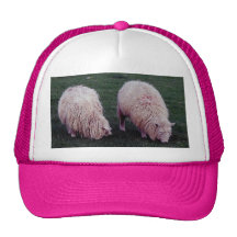 South Devon Two Longwool Sheep Grazeing Trucker Hat