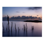 South Florida Sunrise Postcard