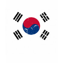 South Korea Vintage Flag Tshirts