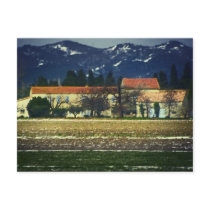 South of France Postcard