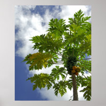 South Pacific, French Polynesia, Moorea. 2 Posters