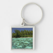 South Pacific, French Polynesia, Moorea 3 Keychain