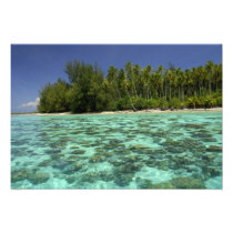 South Pacific, French Polynesia, Moorea 3