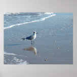 South Padre Beaches Poster