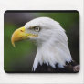 Southern Bald Eagle Mousepad