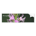Southern cludywing skipper bumper stickers