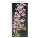Southern cludywing skipper rack cards