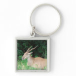 Southern Eland Habitat  Keychain
