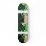 Southern Eland Habitat  Skateboard