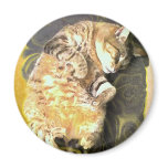 Southern Exposure Cat Magnet