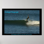 southern exposure posters