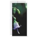 Southern Harebell rack cards