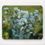 Southern Lilac Mouse Pads