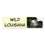 Southern Magnolia bumper stickers