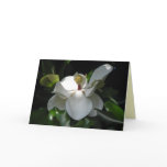 Southern Magnolia Greeting Card