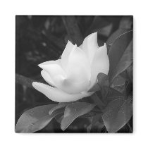 Southern Magnolia Fridge Magnets