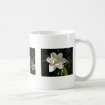 Southern Magnolias Coffee Mug