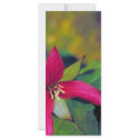 Southern red trillium rack cards