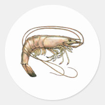 Southern Shrimp Art Sticker