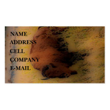 'Southwest Buffalo of the Prarie' Business Cards