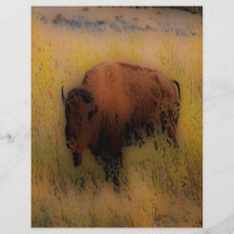 'Southwest Buffalo of the Prarie' Custom Flyer