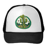 Southwest Cactus Hats
