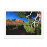 Southwest Christmas postcards