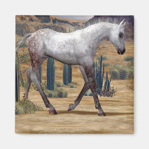Southwest Foal Refrigerator Magnet