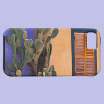 Southwestern Cactus (Opuntia dejecta) and casemate cases