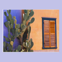 Southwestern Cactus (Opuntia dejecta) and postcards
