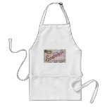 Souvenir From Sioux City Lover, Vintage Apron