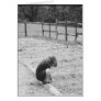 Sowing the Seeds of Love Greeting Card