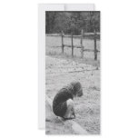 Sowing the Seeds of Love rack cards