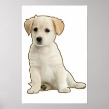 Soy un cachorrito posters