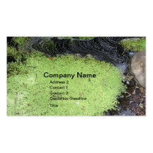 Spa Pond Business Card
