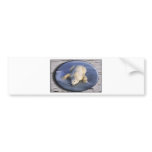 SPACE BEAR III bumper stickers