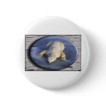 SPACE BEAR III buttons