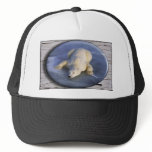 SPACE BEAR III hats