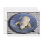 SPACE BEAR III invitations
