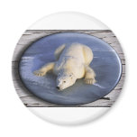 SPACE BEAR III magnets