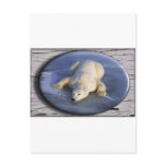 SPACE BEAR III postcards