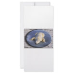 SPACE BEAR III rack cards